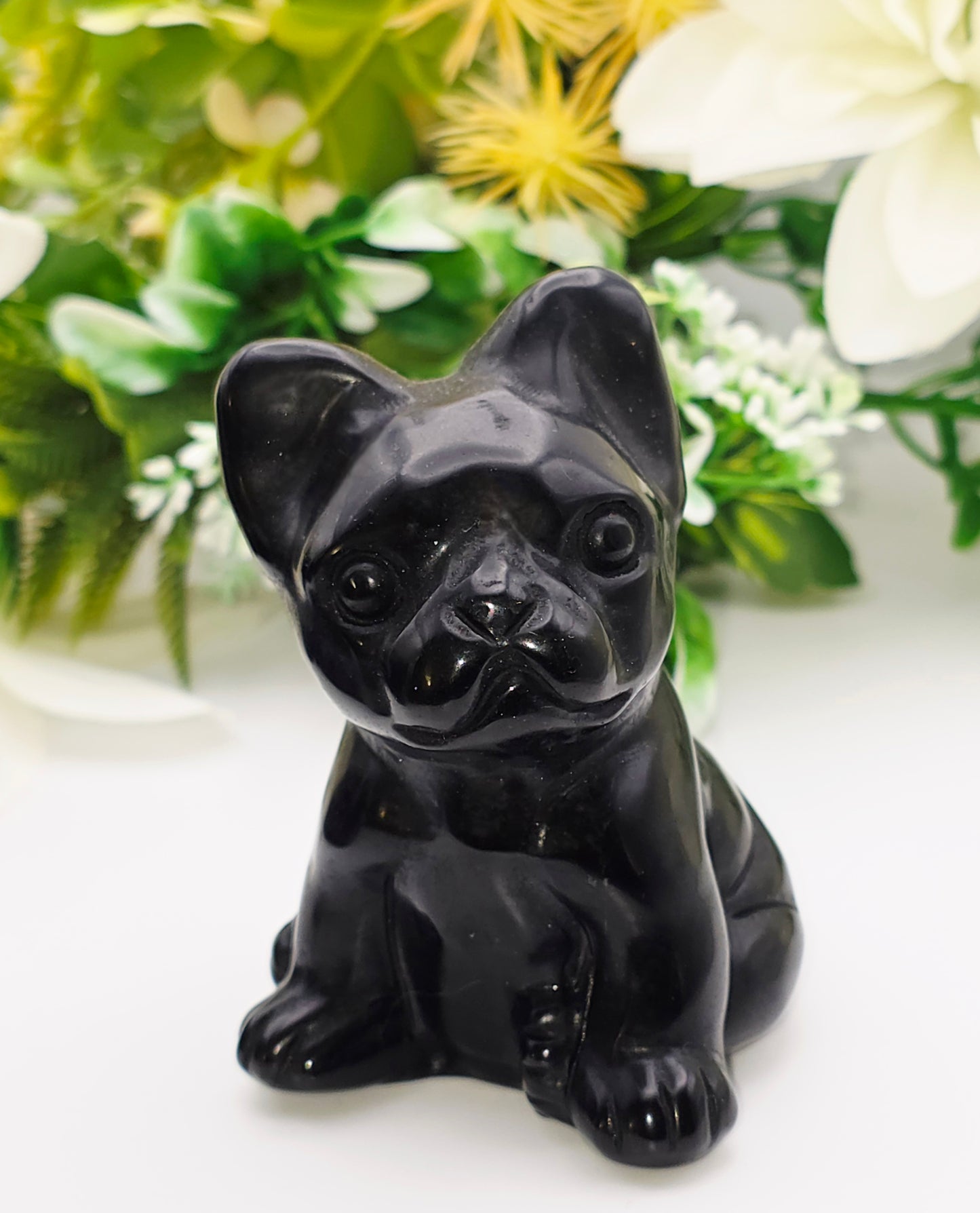 BULLDOG IN OSSIDIANA NERA