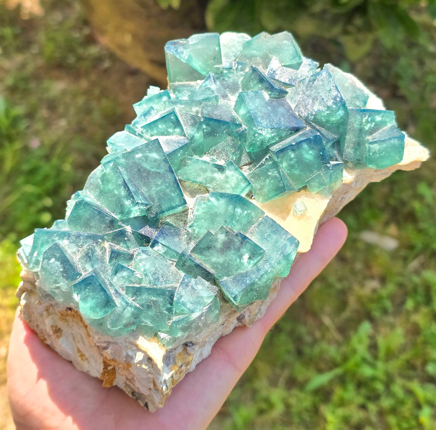 FLUORITE VERDE SU MATRICE (CINA)