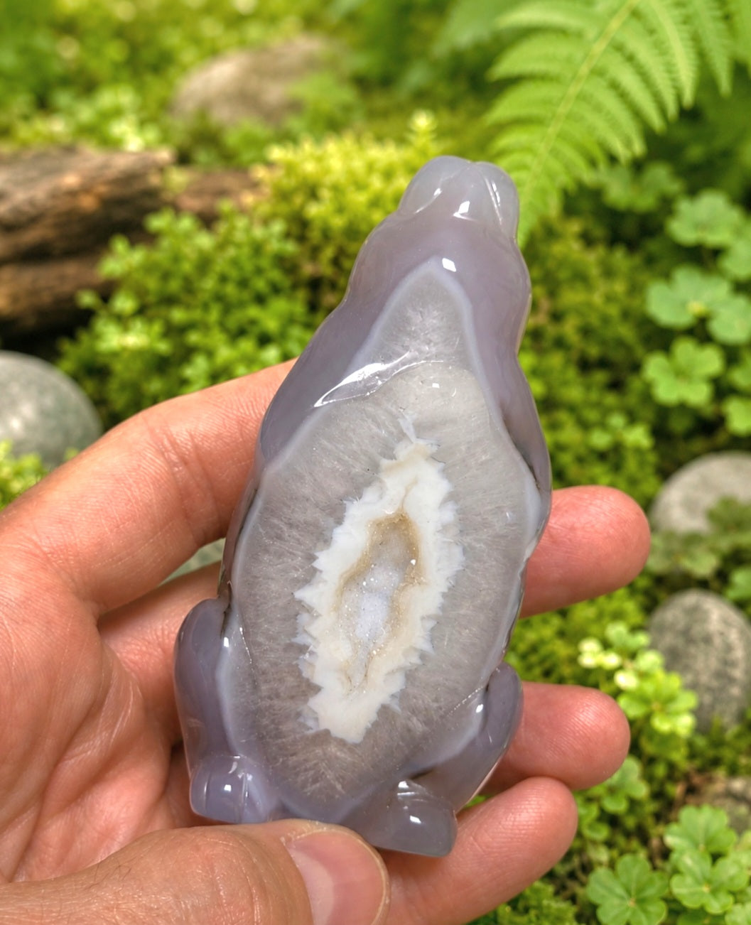 CONIGLIO IN AGATA DRUSA (CINA)