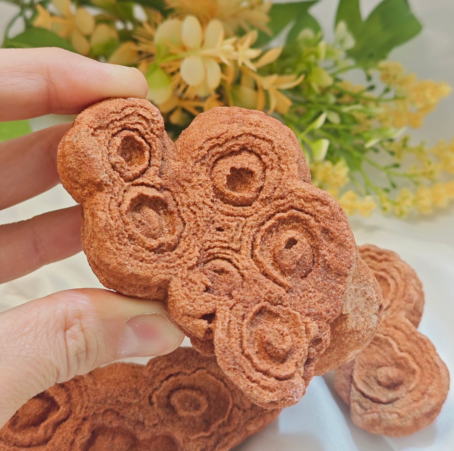 STROMATOLITE GREZZA