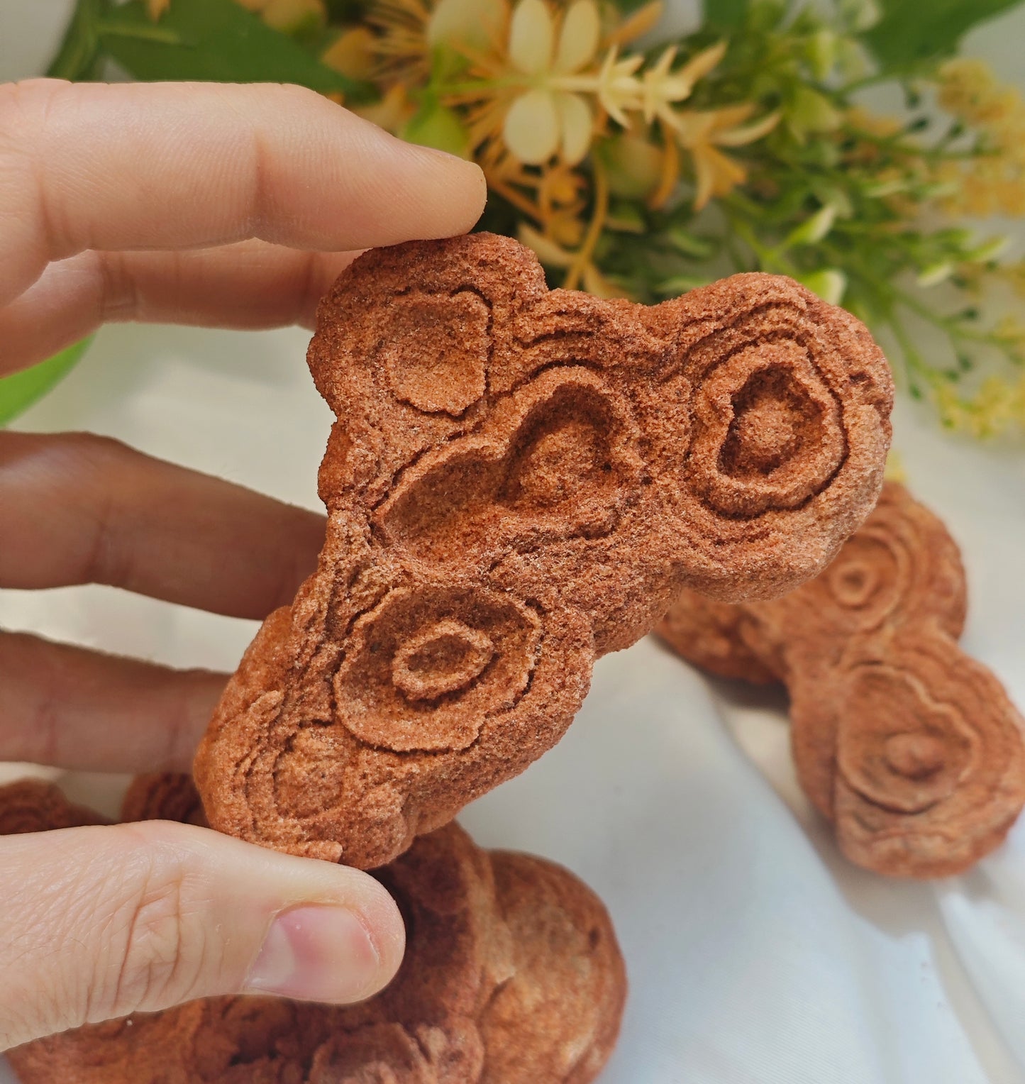 STROMATOLITE GREZZA