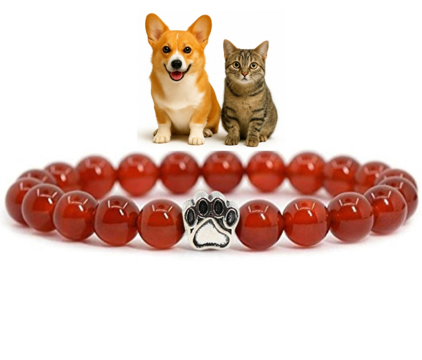 BRACCIALE ZAMPETTA SOLIDALE 🐶🐱