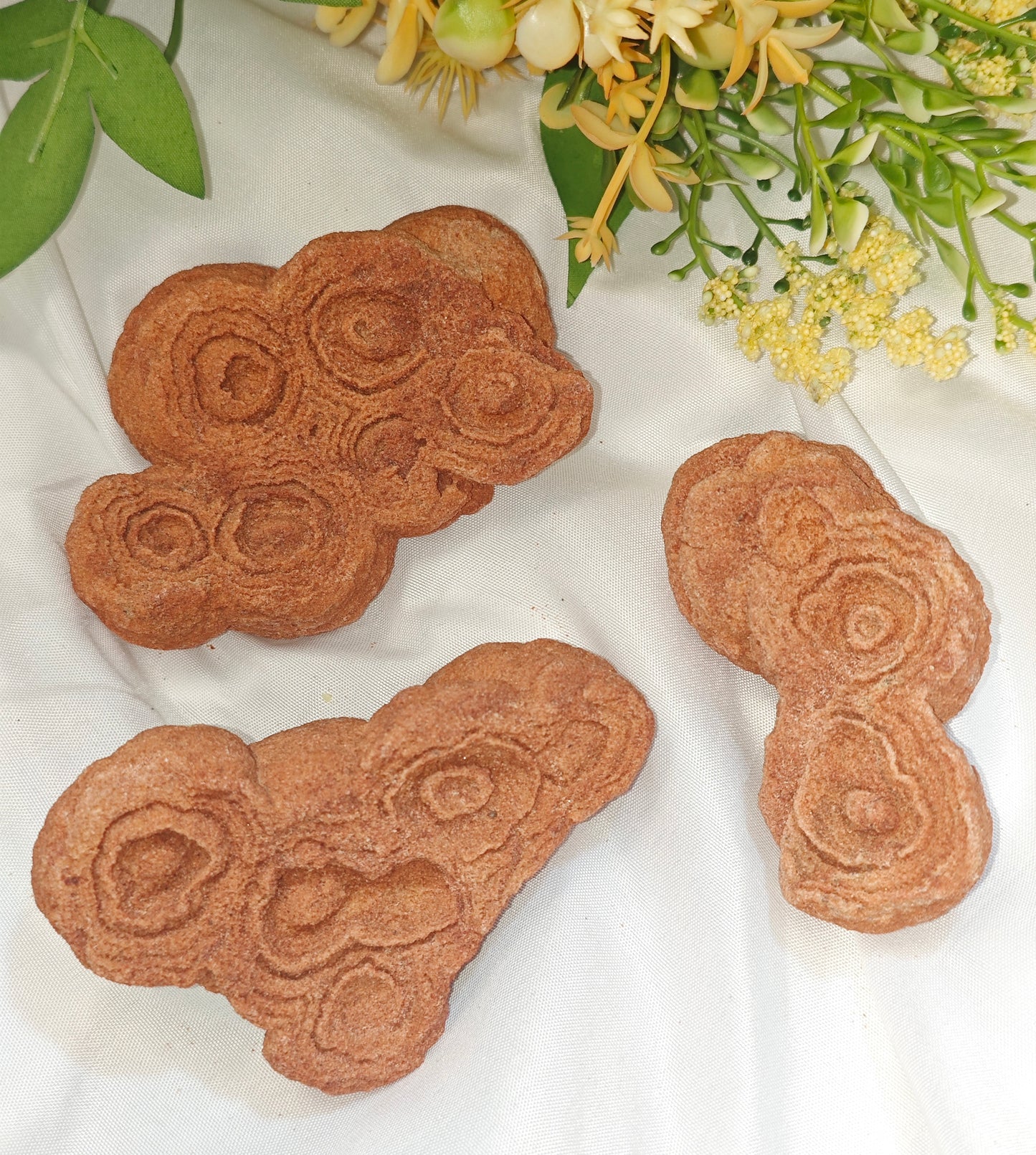 STROMATOLITE GREZZA