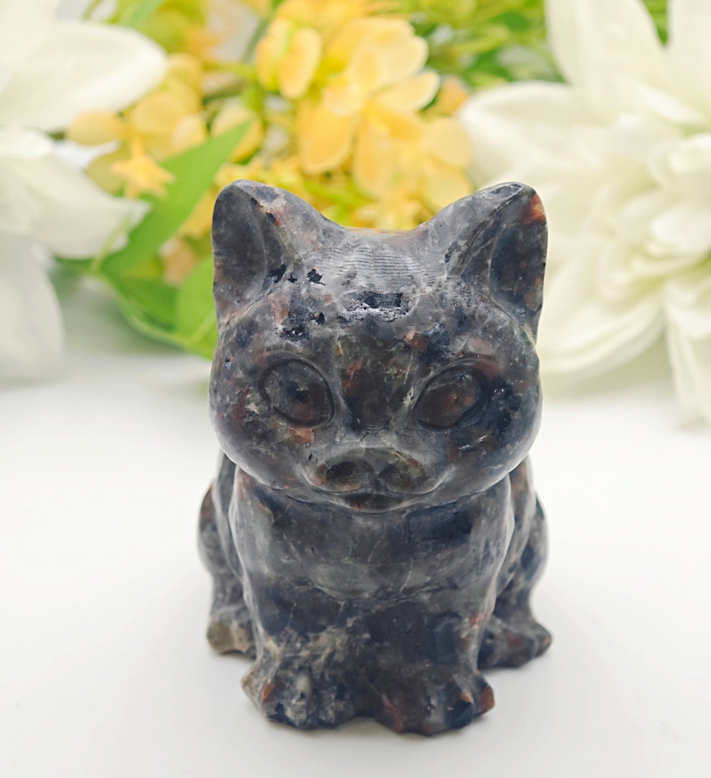 GATTO IN YOOPERLITE