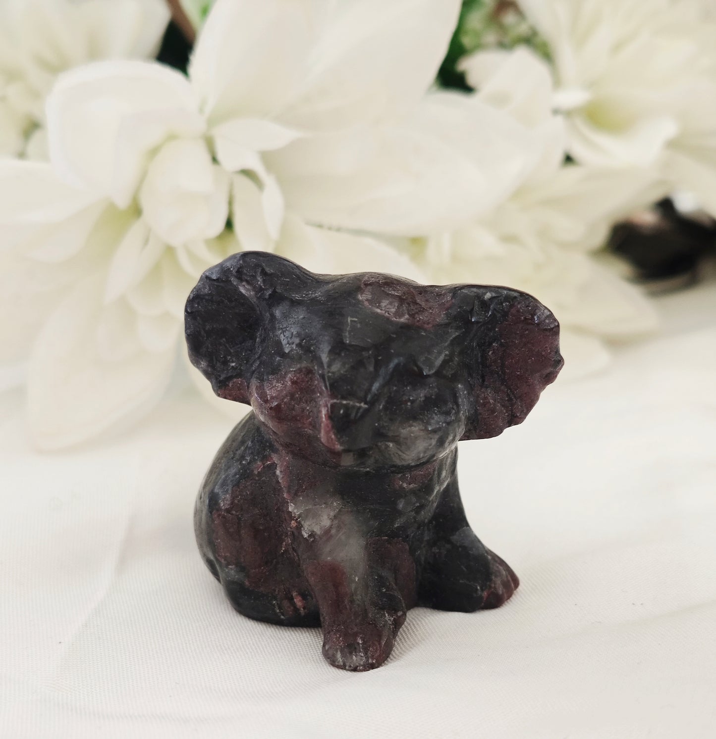 KOALA IN GRANATO