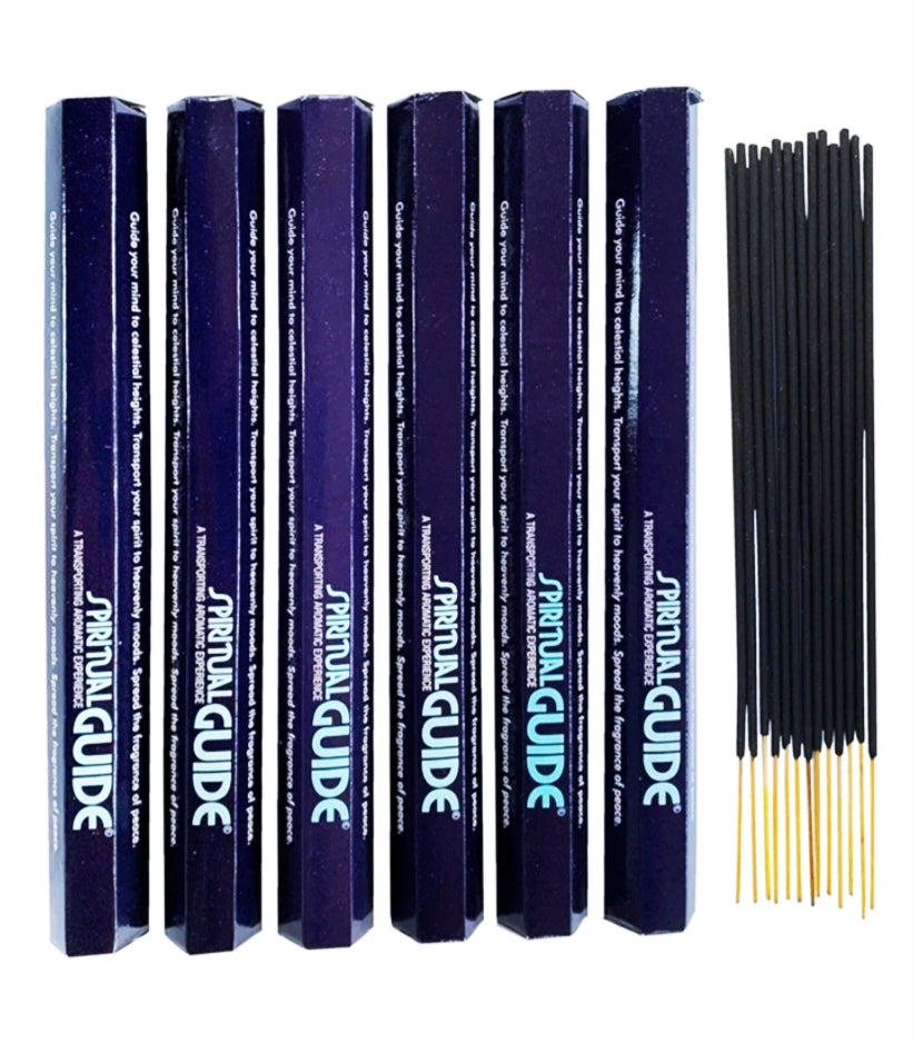 SPIRITUAL GUIDE PADMINI BASTONCINI