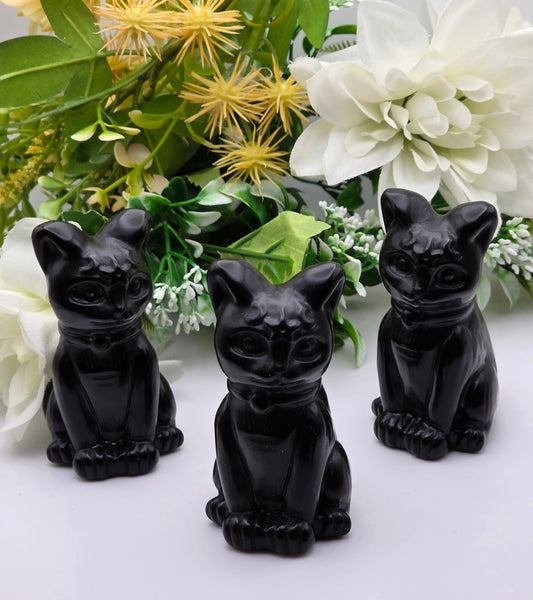 GATTO IN OSSIDIANA NERA