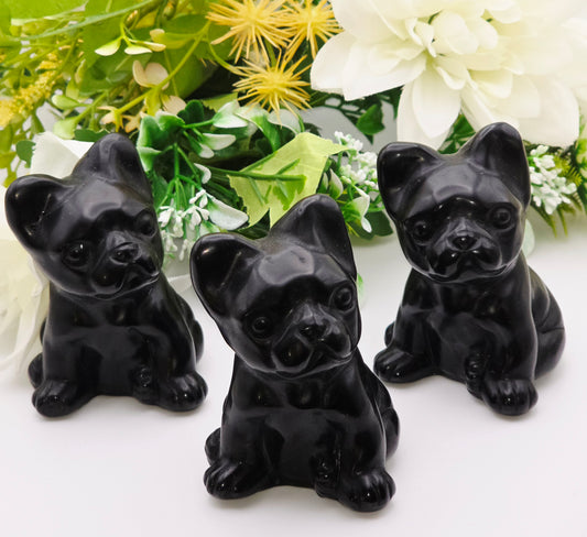 BULLDOG IN OSSIDIANA NERA