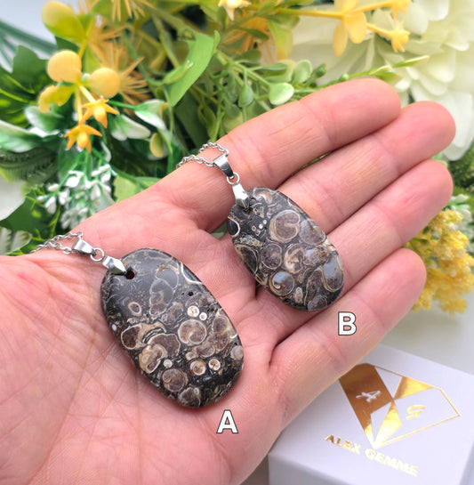 CIONDOLO IN AGATA TURITELLA HQ