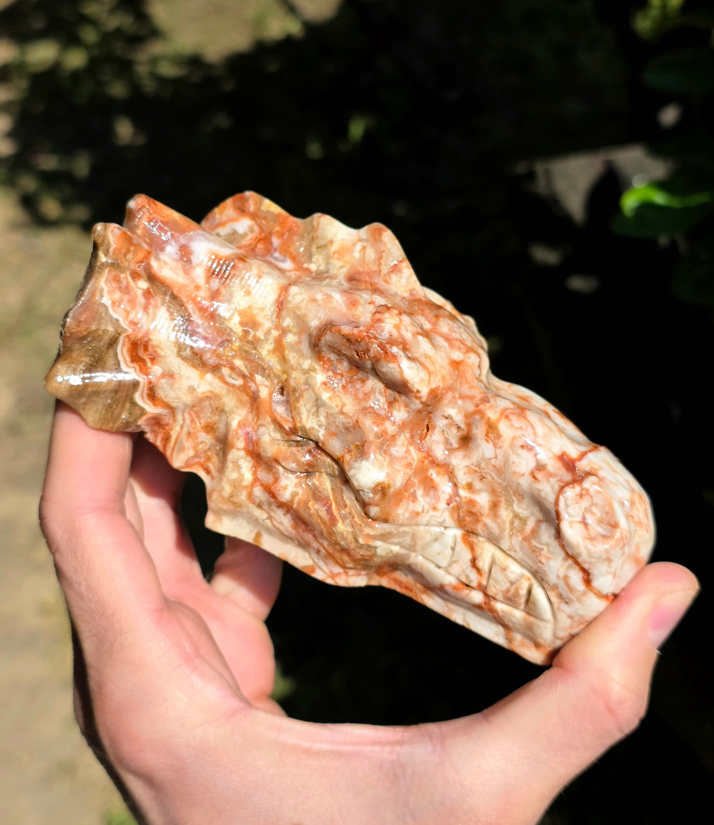TESTA DI DRAGO IN CALCITE AMBRA (PAKISTAN)