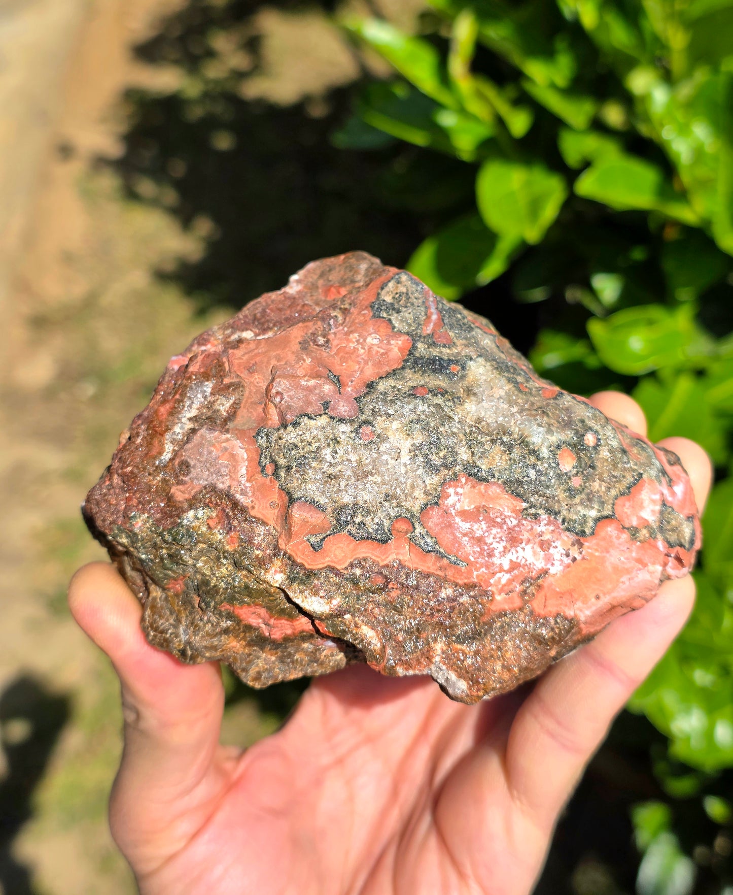 DIASPRO RIOLITE