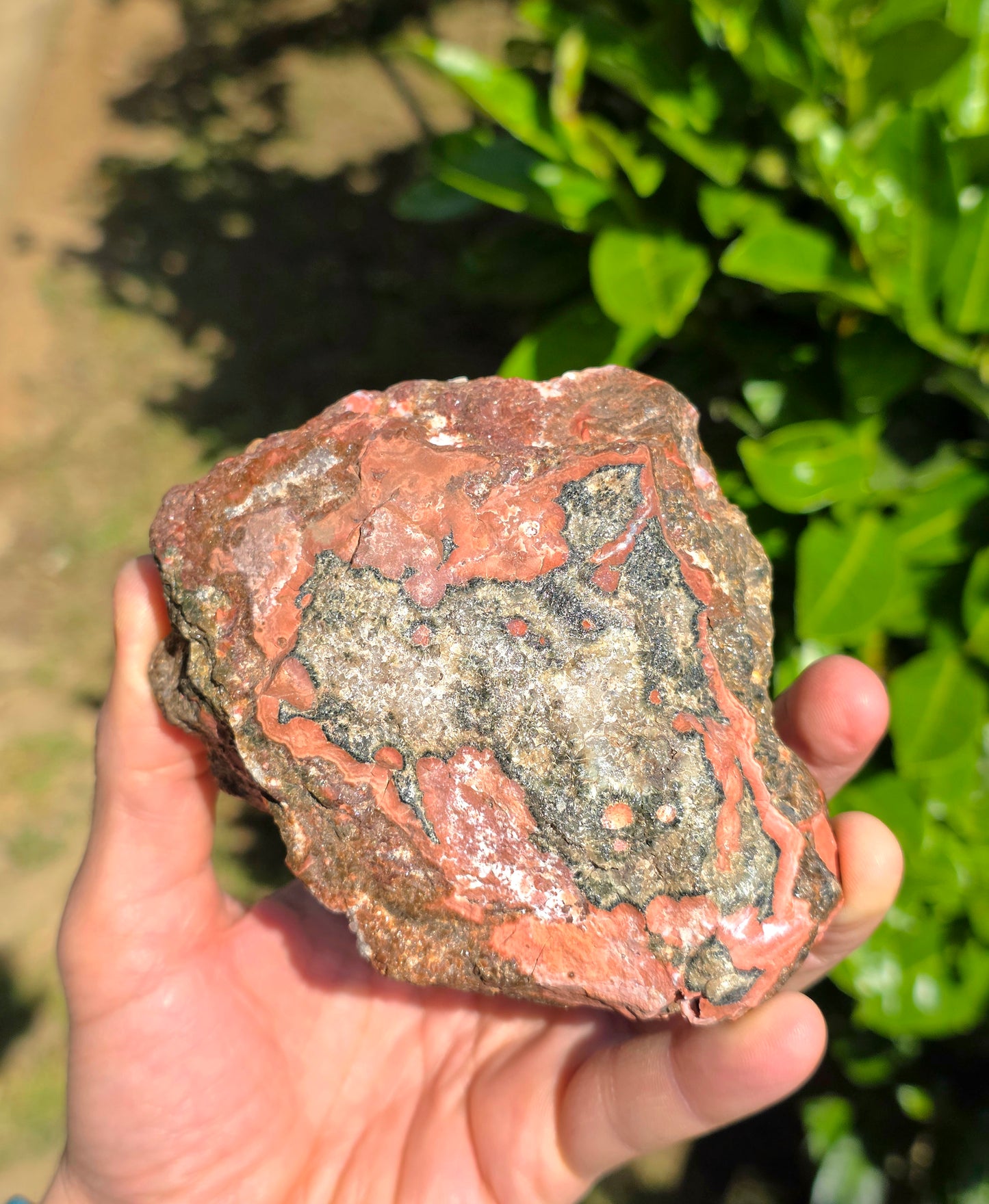 DIASPRO RIOLITE