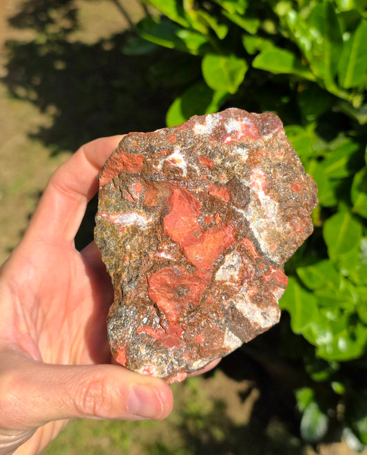 DIASPRO RIOLITE