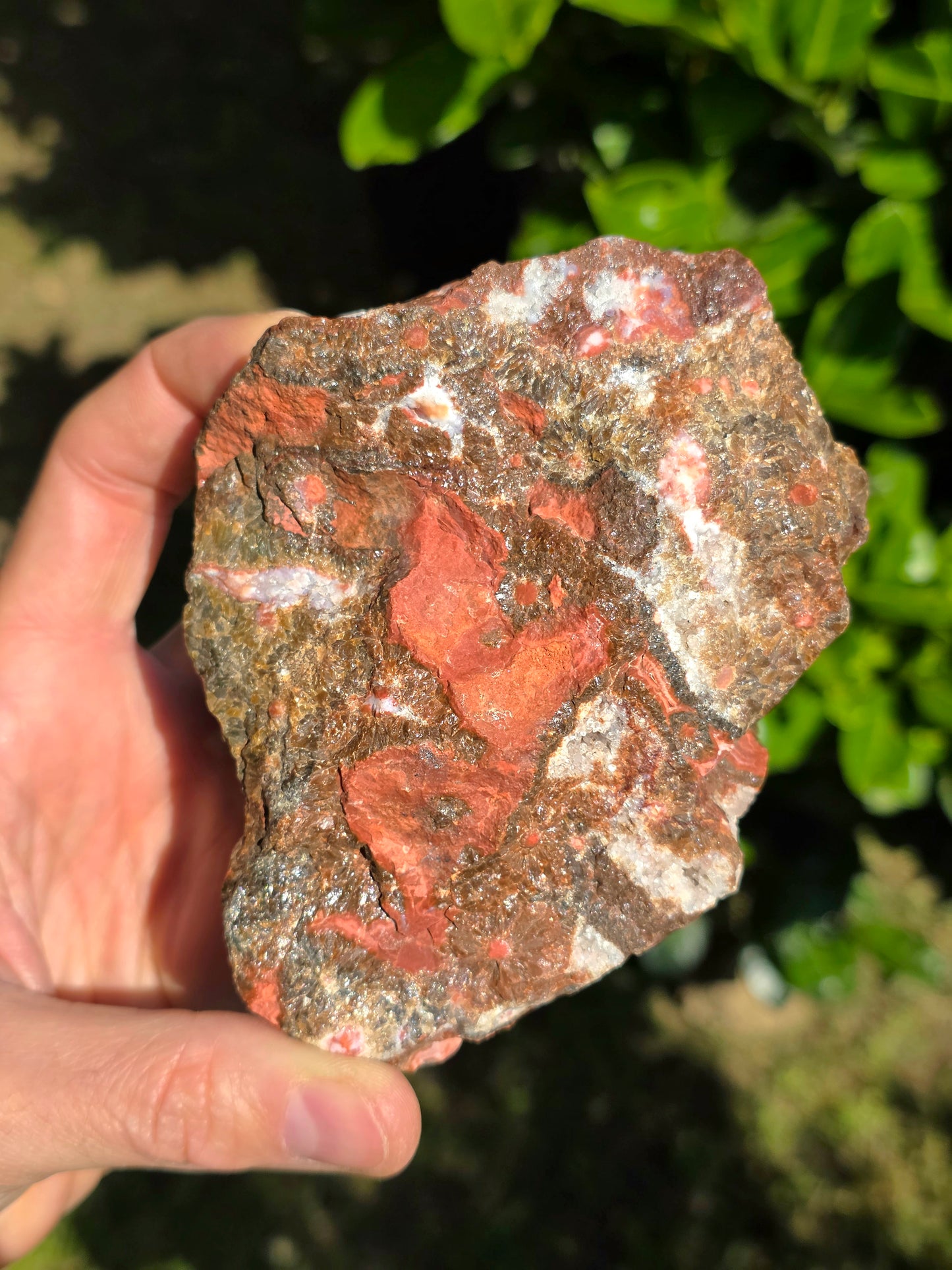 DIASPRO RIOLITE