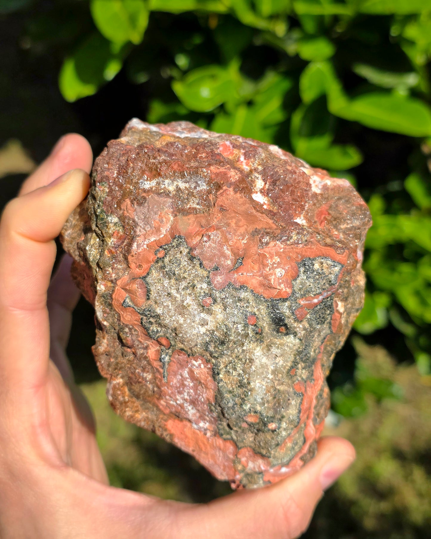 DIASPRO RIOLITE