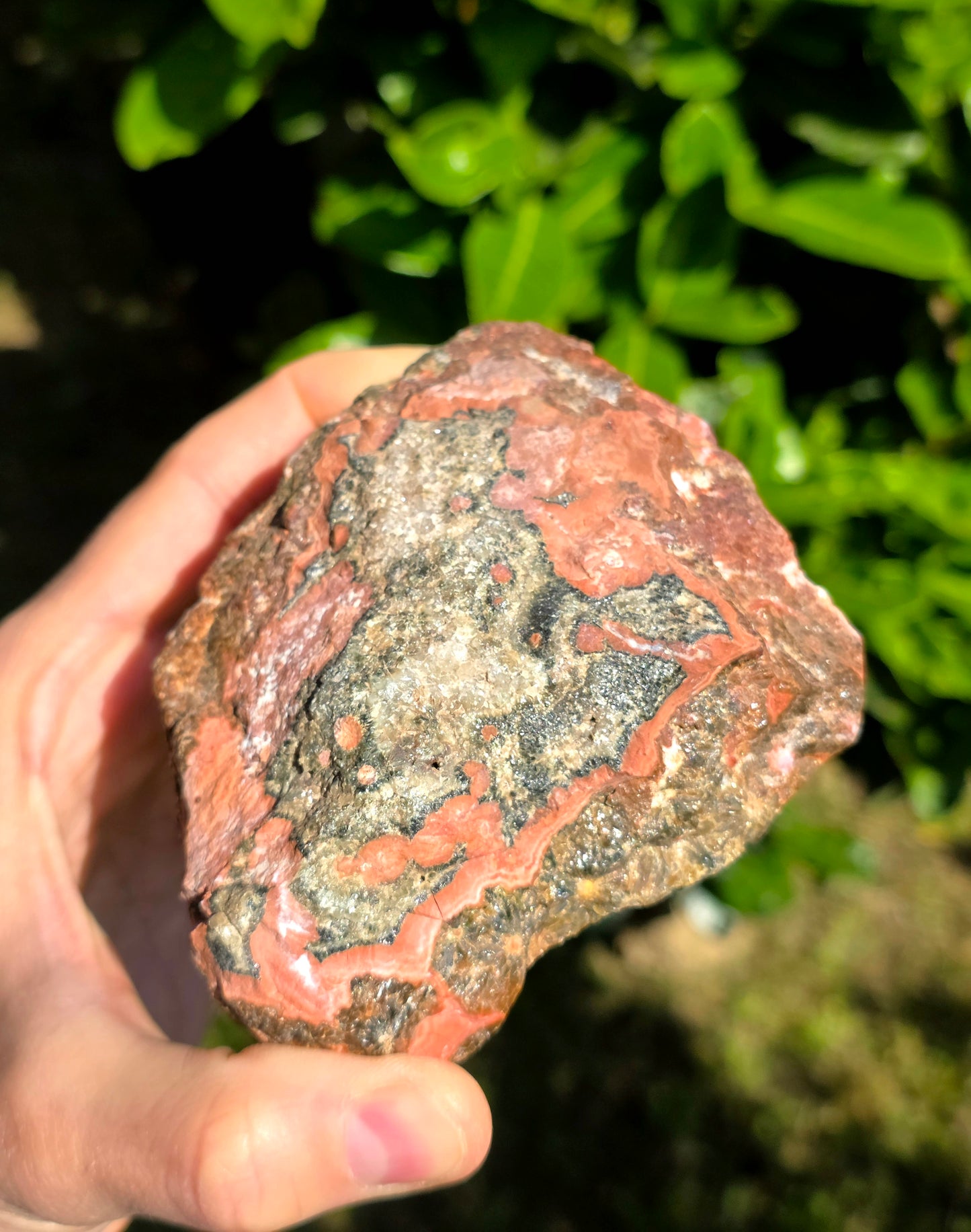 DIASPRO RIOLITE