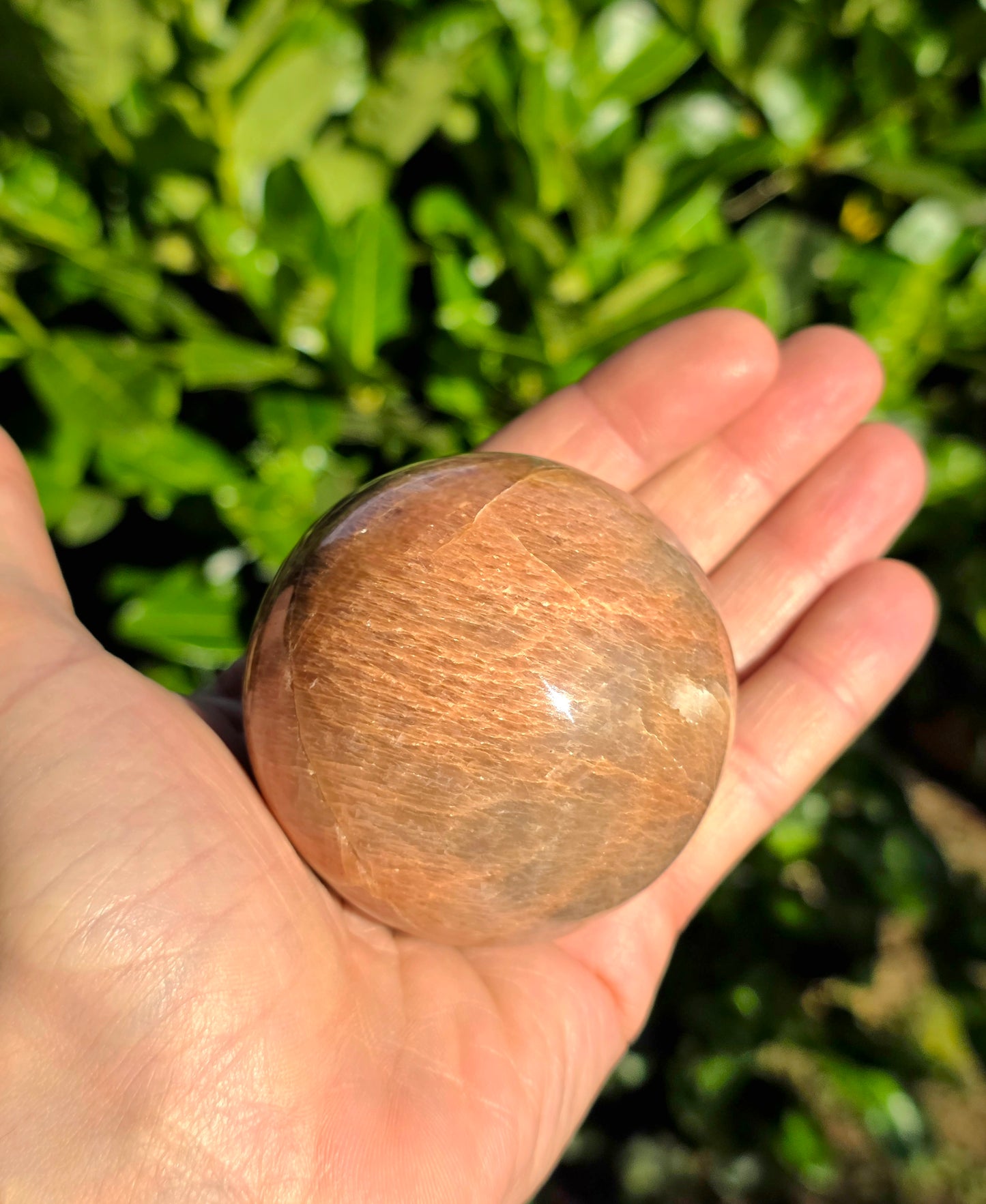 SFERA IN PIETRA DI LUNA PESCA