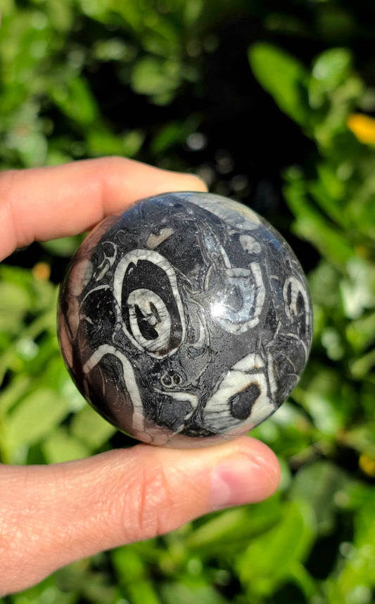 SFERA IN PIETRA FOSSILE