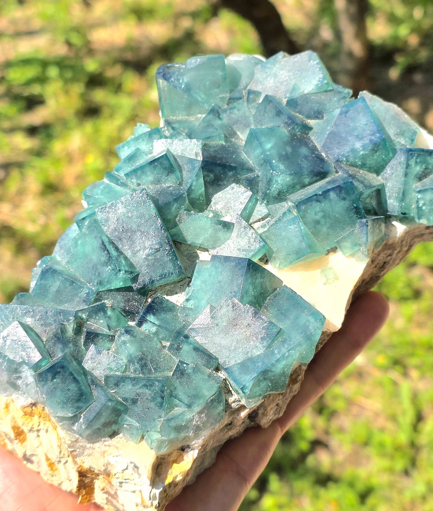 FLUORITE VERDE SU MATRICE (CINA)