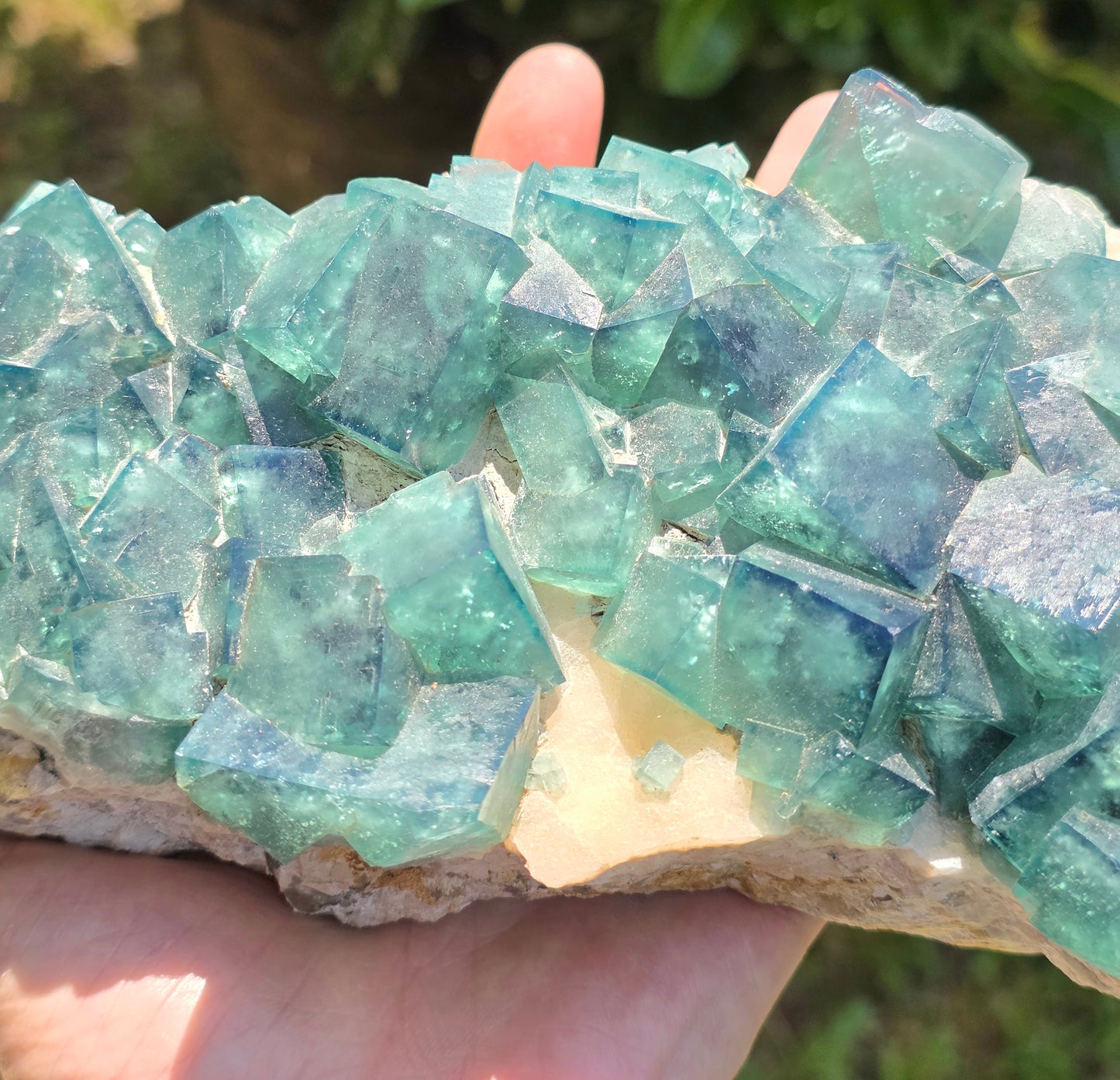 FLUORITE VERDE SU MATRICE (CINA)