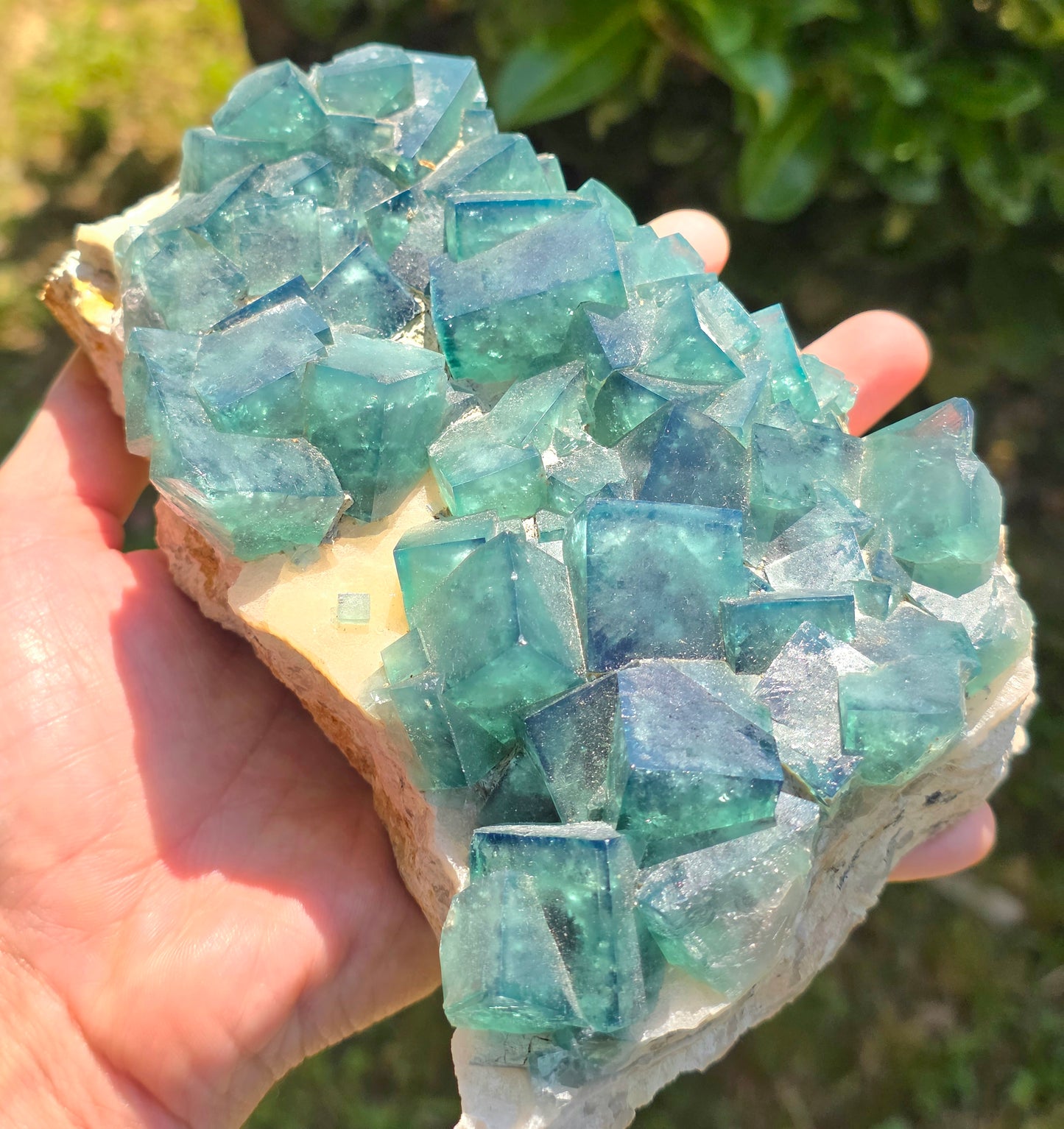 FLUORITE VERDE SU MATRICE (CINA)