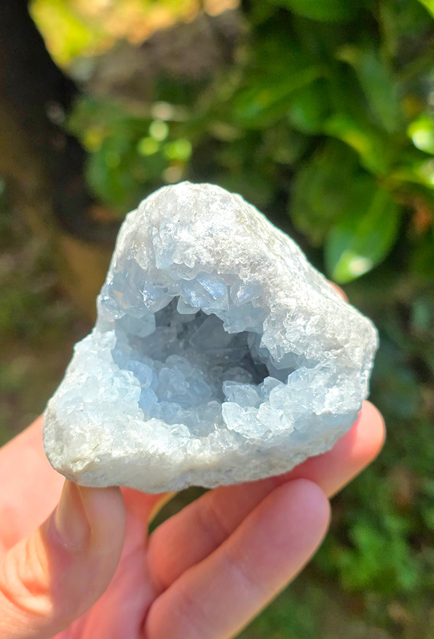 CELESTINA (MADAGASCAR)