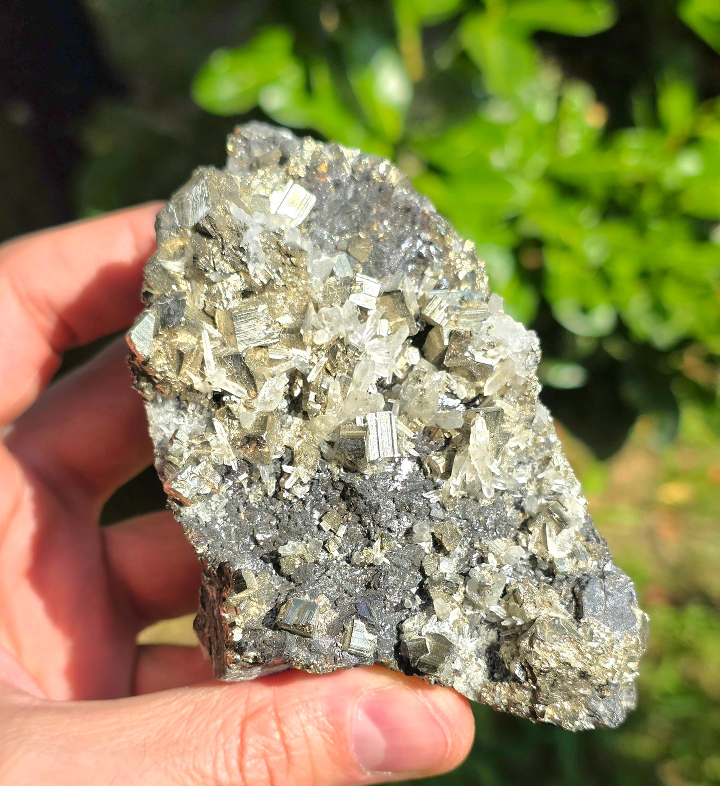 GALENA CON PIRITE E QUARZO