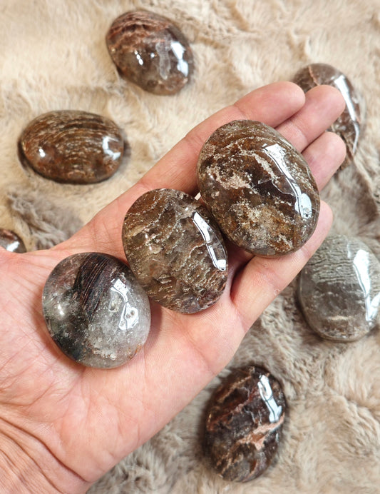 LODOLITE PALMSTONE (Quarzo Giardino)