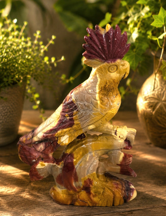 PAPPAGALLO IN MOOKAITE (AUSTRALIA)