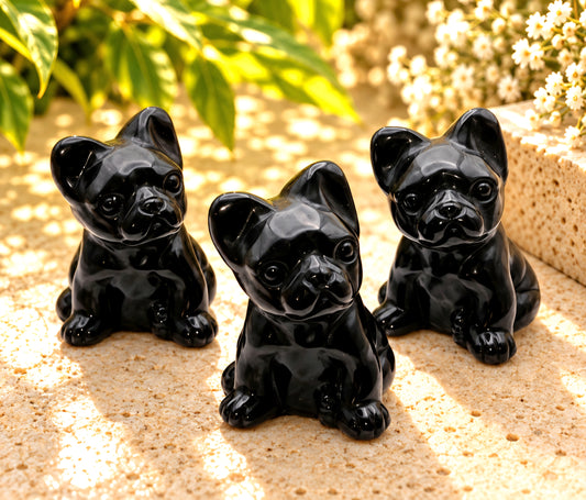 BULLDOG IN OSSIDIANA NERA