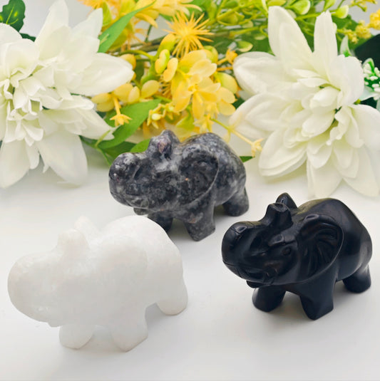 ELEFANTE CRYSTAL 🐘