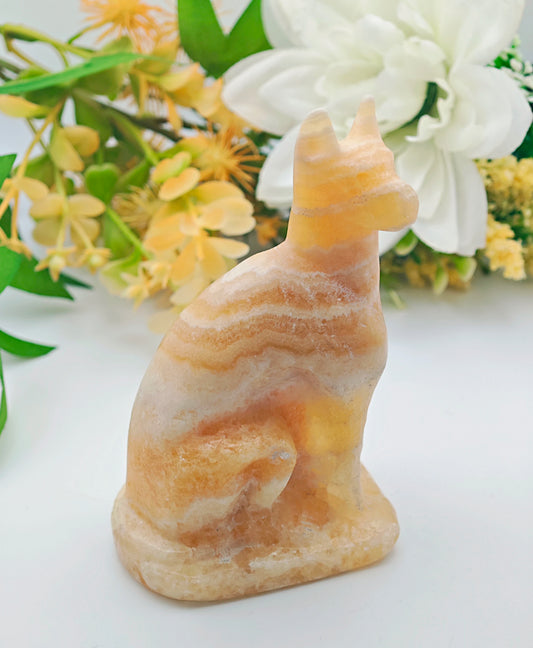 CANE IN CALCITE GIALLA