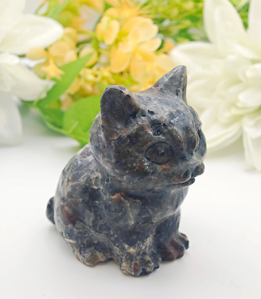 GATTO IN YOOPERLITE