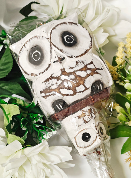 CAMPANE A VENTO GUFO 🦉