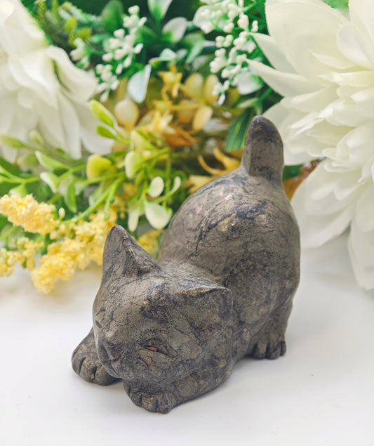 GATTO IN PIRITE