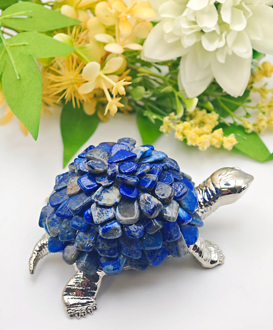 TARTARUGA GUSCIO DI LAPIS