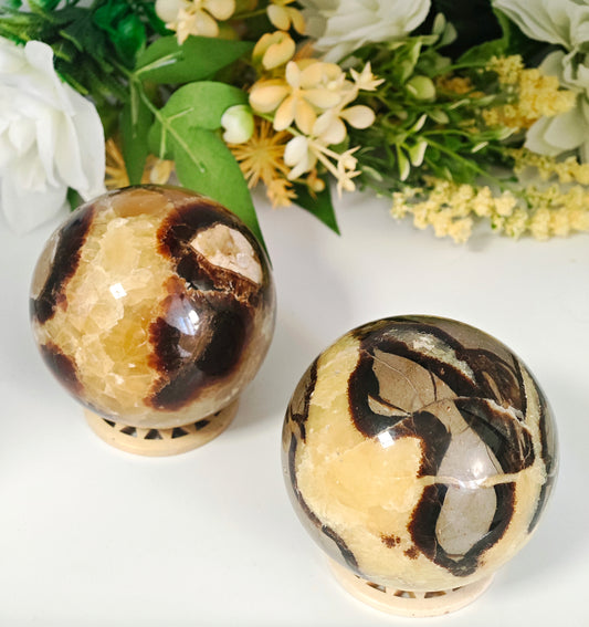 SFERA IN SEPTARIA